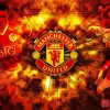 Logo Manchester United paint by numbers