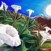 Aesthetic Moonflowers Art paint by number