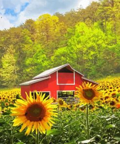 Cool Red Barn Sunflowers paint by numbers