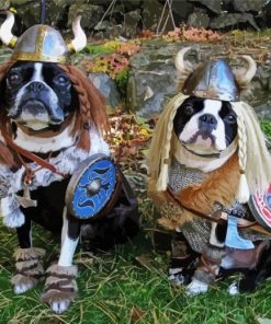 Vikings Dogs paint by numbers