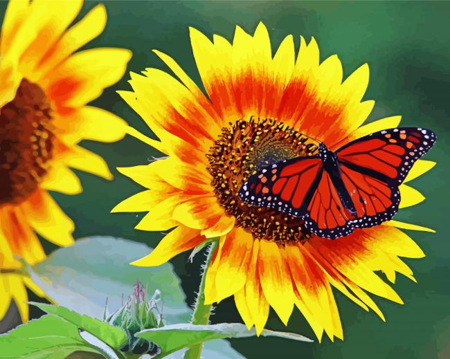 Sunflower And Cute Butterfly paint by numbers