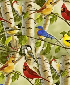 Birds And Birch Trees paint by numbers