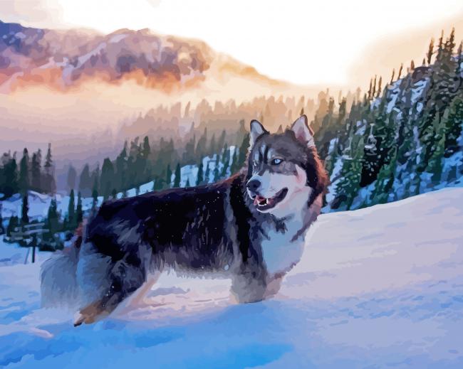 Alaskan Husky Dog paint by number