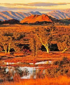 Amazing Australian Landscape paint by number