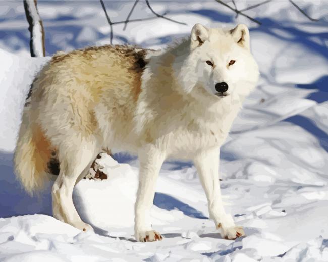 Arctic Wolf paint by number