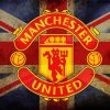 Artistic Manchester United Logo paint by numbers