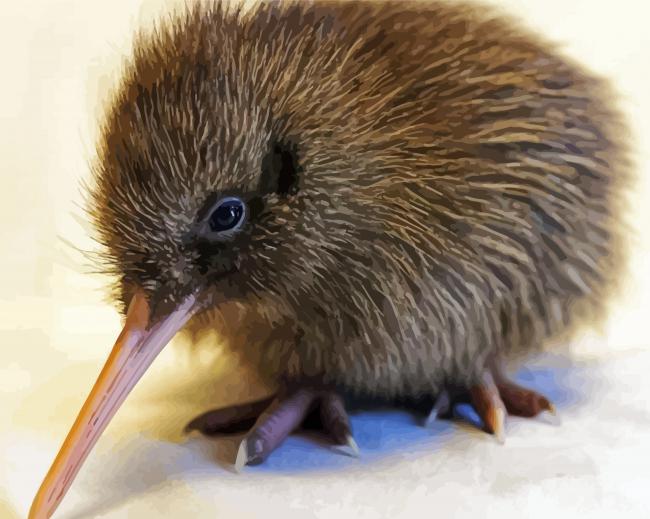 Baby Kiwi Bird paint by number
