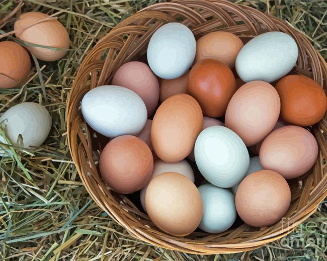 Basket Of Chicken Eggs paint by number