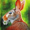 Beautiful Abstract Rabbit paint by numbers