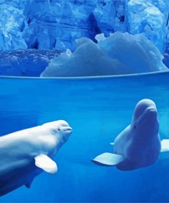 Beluga Whales Underwater paint by number
