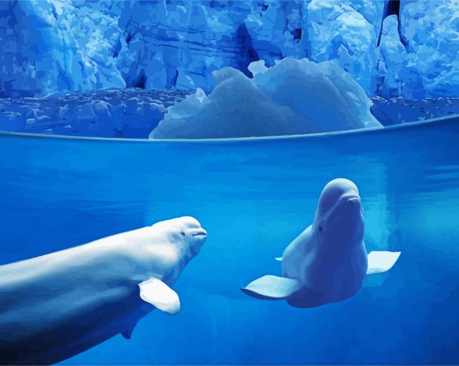 Beluga Whales Underwater paint by number