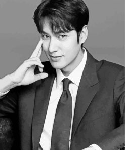 Black And White Lee Min Ho paint by numbrer