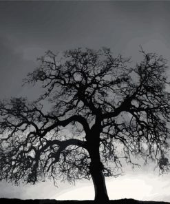 Black And White Tree paint by number