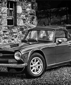 Black And White Triumph Tr6 paint by numbers