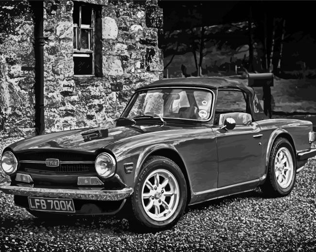 Black And White Triumph Tr6 paint by numbers