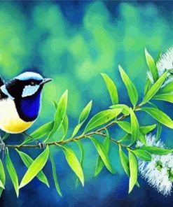 Blue Wren Bird Animal paint by numbers