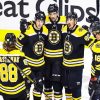 Boston Bruins Ice Hockey Team Players paint by numbers