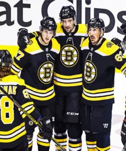 Boston Bruins Ice Hockey Team Players paint by numbers