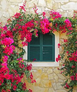 Bougainvillea Flowers Wall paint by number