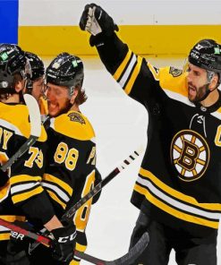 Boston Bruins Players paint by number