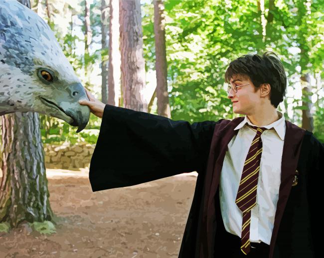 Buckbeak And Harry Potter paint by numbers