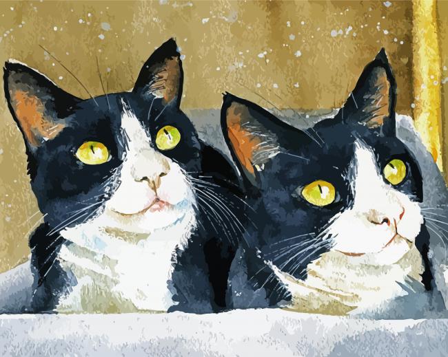 Cats Tuxedo Art paint by number