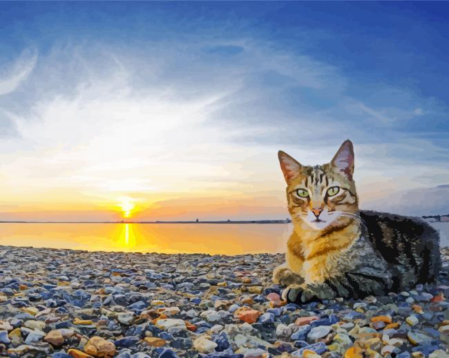 Cats On Beach At Sunset paint by numbers