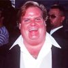 Chris Farley paint by number