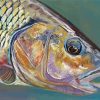Chub Fish Close Up paint by number