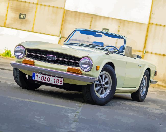 Classic TR6 Car paint by numbers