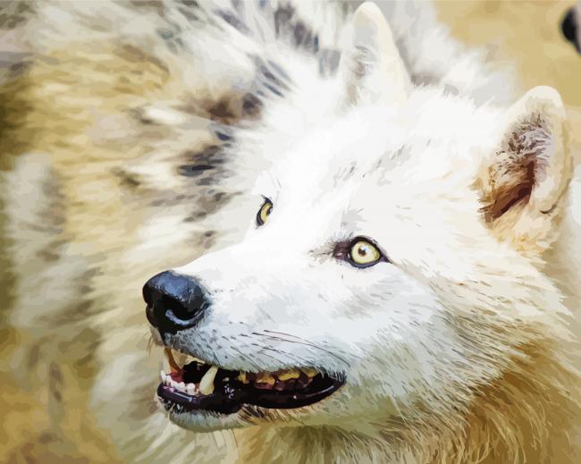 Close Up Arctic Wolf paint by number