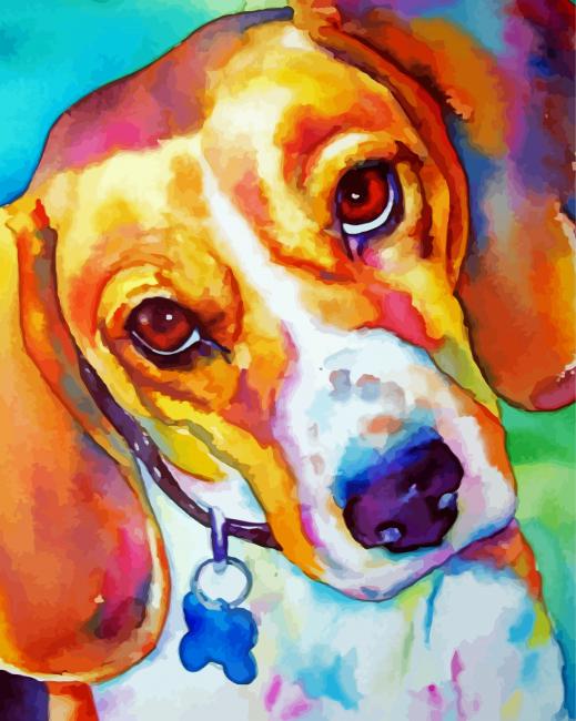 Colorful Beagle Animal Art paint by numbers