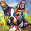 Colorful Boston Terrier Animal paint by number
