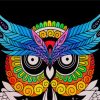 Colorful Mandala Night Bird paint by numbers