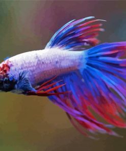 Colorful Purple Betta Fish paint by numbers