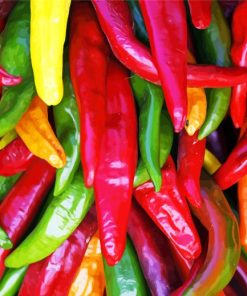 Colorful Chile Peppers paint by numbers