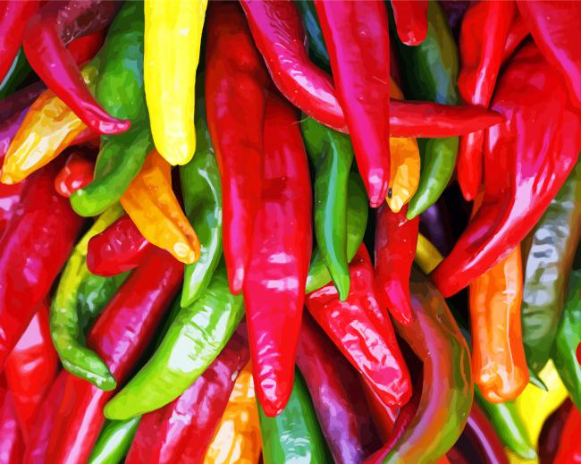 Colorful Chile Peppers paint by numbers