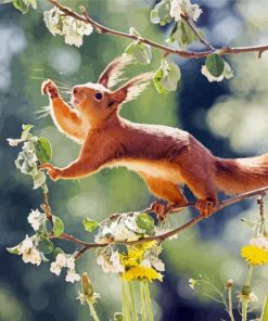 Cute Animal Squirrel paint by numbers