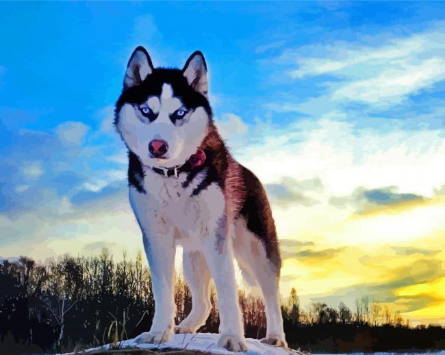 Cute Alaskan Husky paint by number