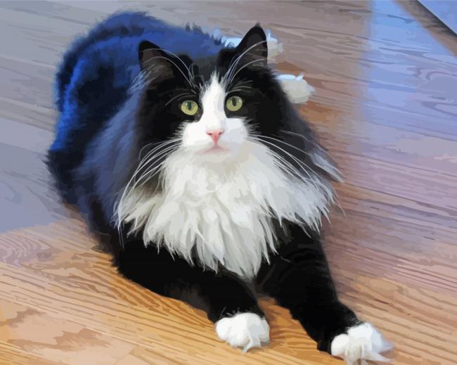 Cute Cat Tuxedo paint by number