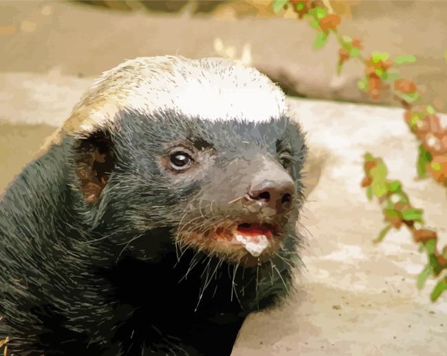 Cool Honey Badger Animal paint by numbers