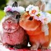 Cute Rabbit With Flower Wreath paint by numbers