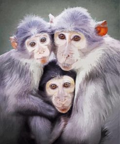 Cute Three Monkeys Animals paint by number
