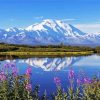 Denali National Park paint by number