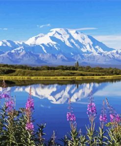Denali National Park paint by number