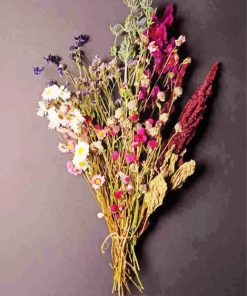 Dried Flowers paint by number