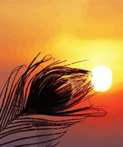 Feather Silhouette At Sunset paint by number