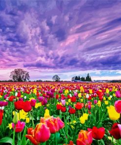Field Of Tulips paint by number