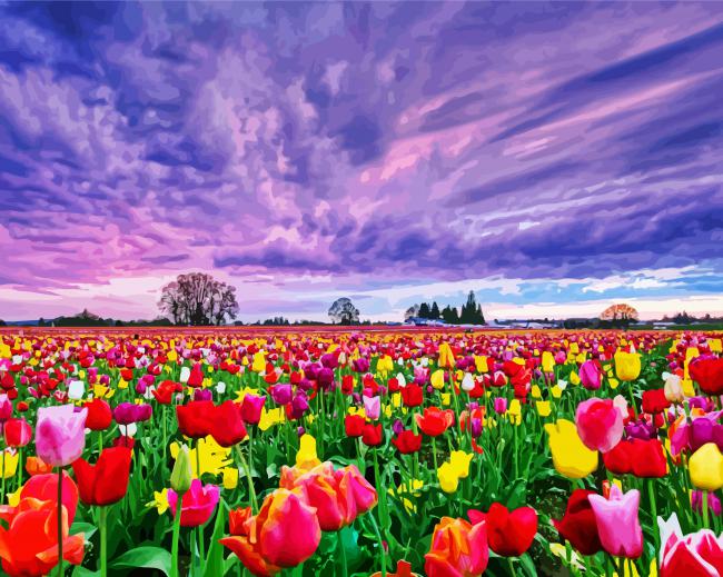 Field Of Tulips paint by number