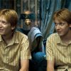 Fred Et George Weasley Characters paint by numbers